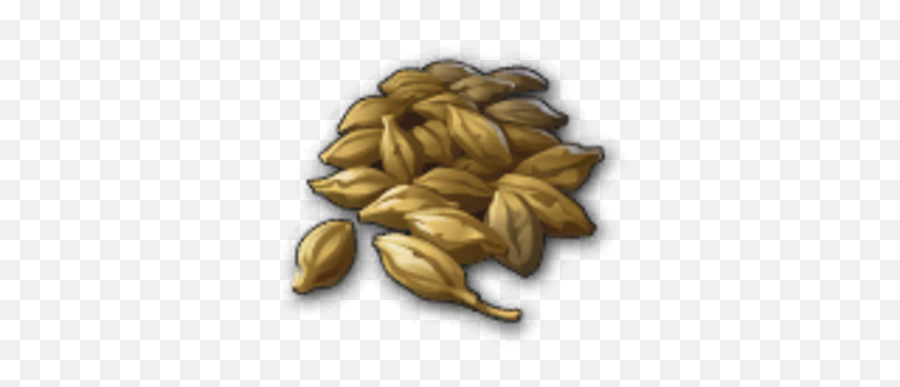 Malt - Seed Png,Malt Icon