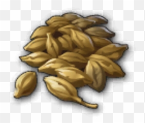 Malt - Seed png