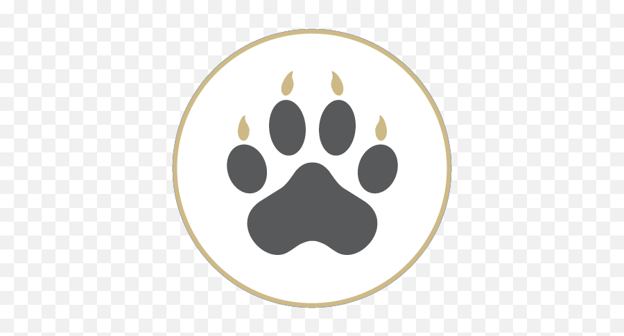Icons Cu Denver Lynx Central - Dot Png,Paw Icon