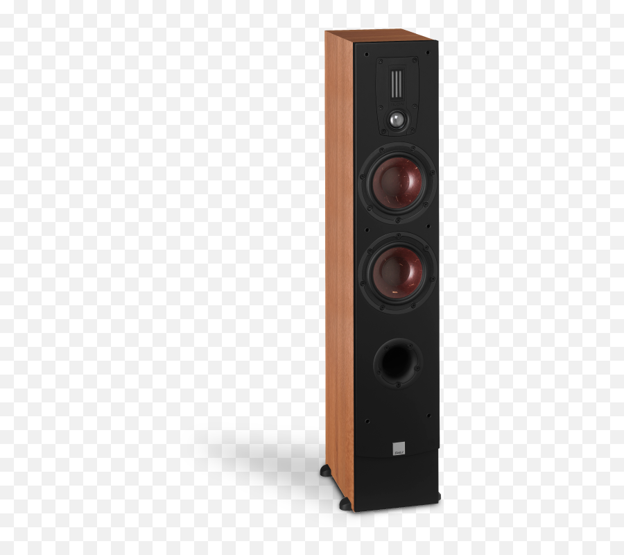 Dali Ikon 5 Mk2 - Compact And Discrete Floorstanding Speaker Pc Speaker Png,Home Theater Icon