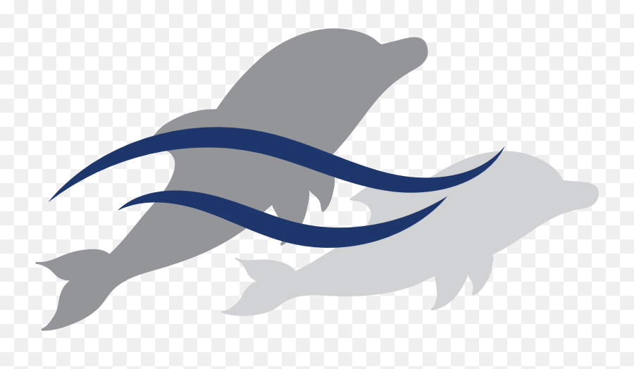 Holiday Hill Elementary - Common Bottlenose Dolphin Png,Dolphin Browser Icon Png