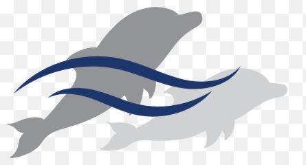 Holiday Hill Elementary - Common Bottlenose Dolphin png