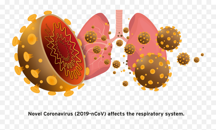 Coronavirus Png Images Free Download - Si Te Mbrohemi Nga Koronavirus,.png Pictures