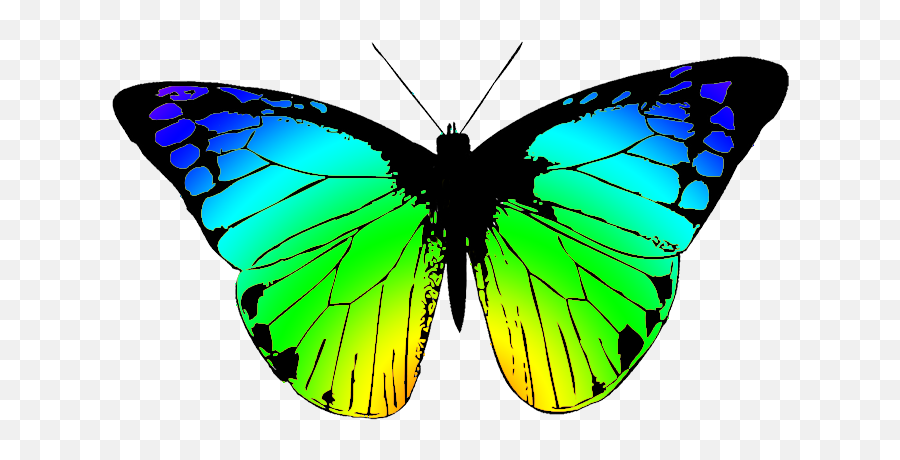 Butterfly Clipart - Colorful Butterfly Drawing Png,Blue Butterfly Transparent Background