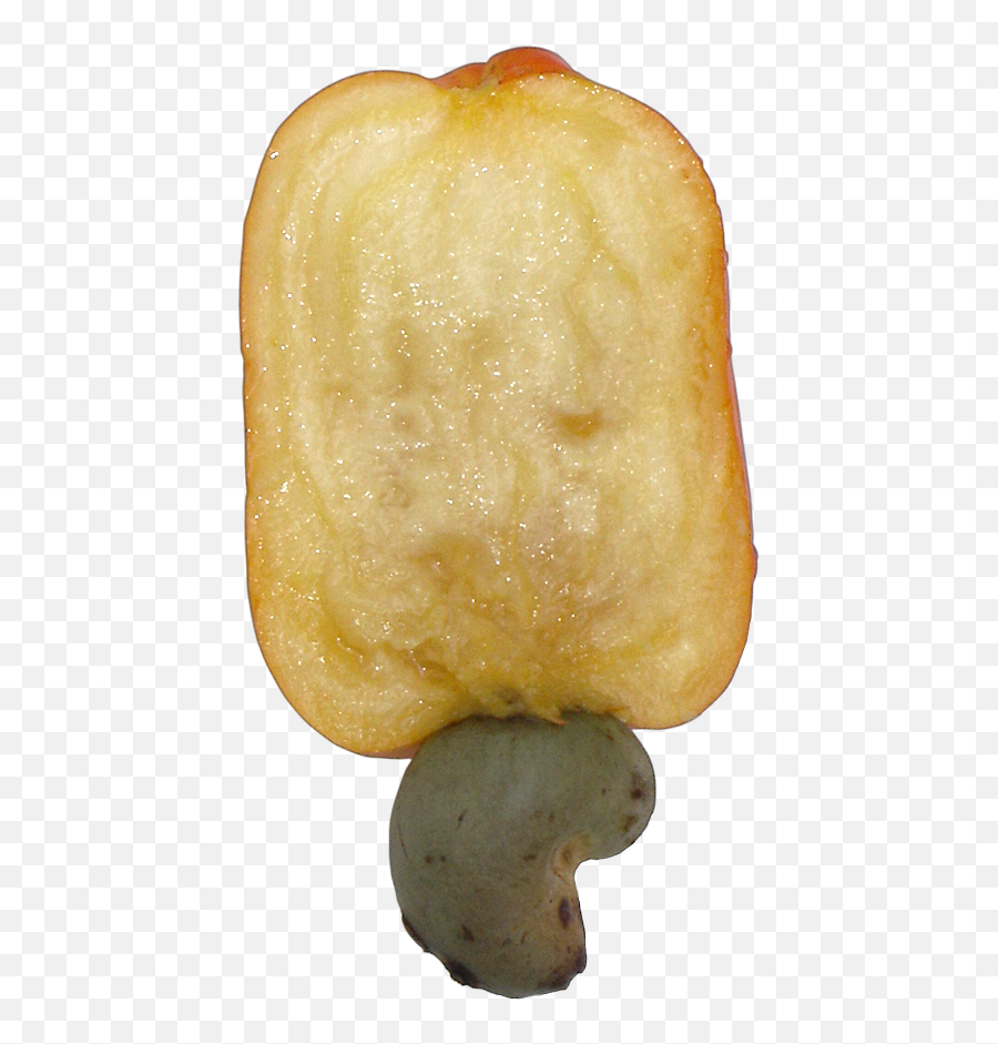 Cashew Brazil Fruit Cut - Cashew Png,Cashew Png