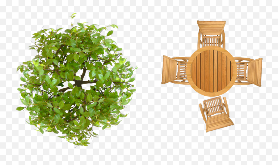 Top View Images For Landscape Plans - Furniture Top View Png,Tree Plan View Png
