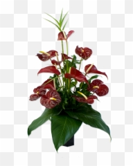 Lava In The Forest - Arrangement Of Hawaiian Flowers Bouquet Png,Hawaiian Flower Png