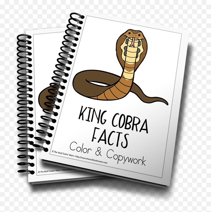 King Cobra Color And Copywork - The Multi Taskinu0027 Mom Jonah And The Whale Mini Book Png,King Cobra Png