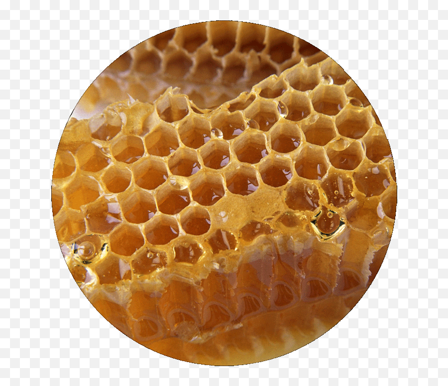 Download Ingredients - Honey Honeycomb Png Image With No Honeycomb,Honeycomb Png