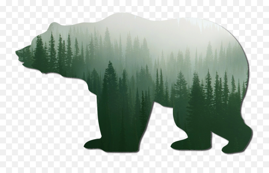 Bear Silhouette Png
