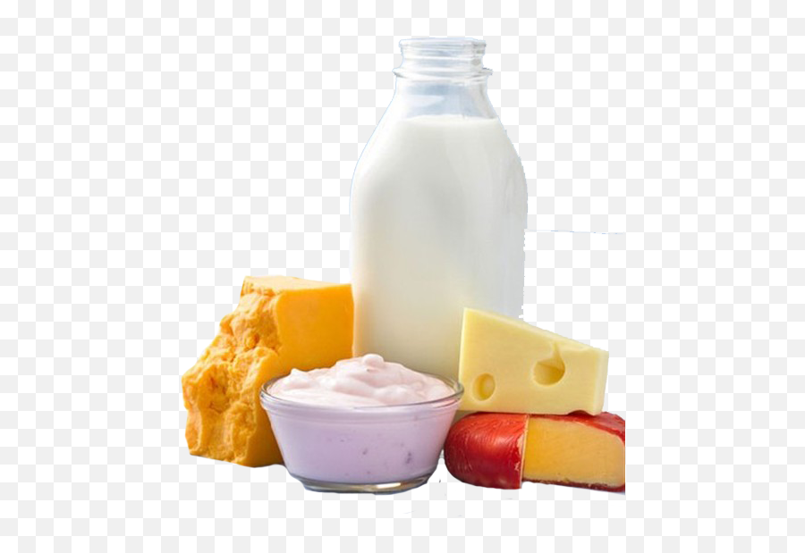 Download Milk Dairy Product Food Drink - Leche Queso Y Yogurt Png,Queso Png