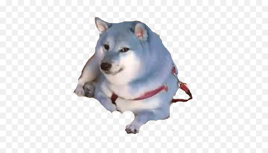 Blue Doge - But What If It Was Blue Doge Meme Png,Doge Png