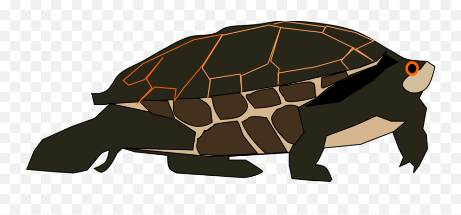 Green Sea Turtle Photo Background - Gopher Tortoise Png,Turtle Transparent Background