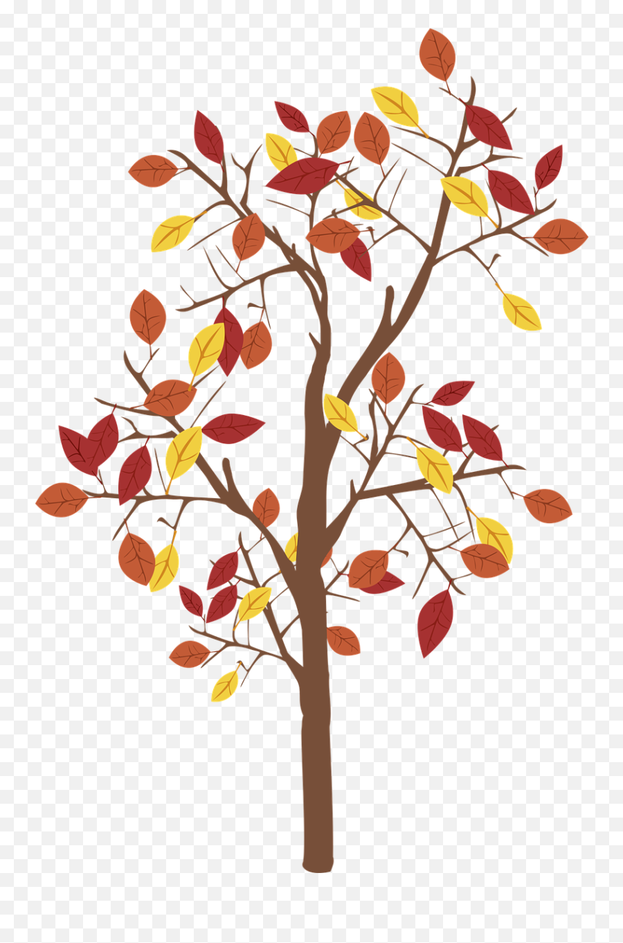 Graphic Fall Tree - Fall Graphic Png,Fall Tree Png
