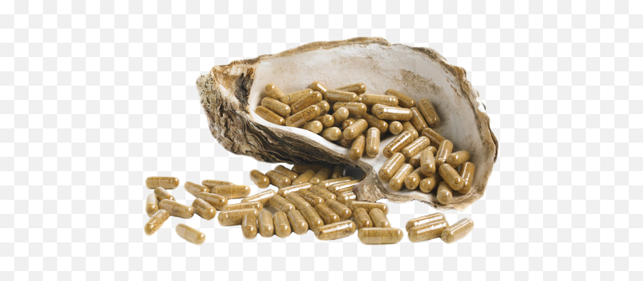 Oystermax - Seed Png,Oysters Png