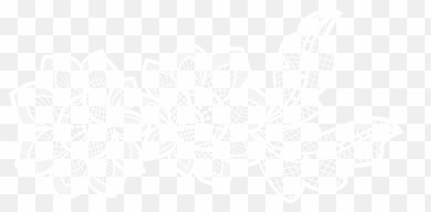 Lace Flower Png U0026 Free Flowerpng Transparent Images - Background