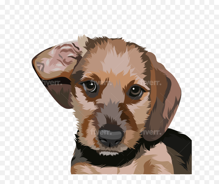 Make Vector Illustration Dog Cat Animal Pet Cartoon Portrait - Kromfohrländer Png,Puppy Png