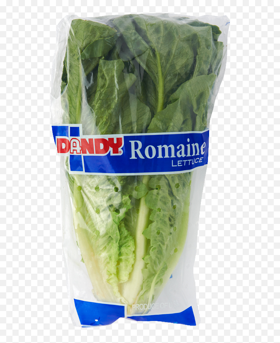 Romaine - Superfood Png,Romaine Lettuce Png
