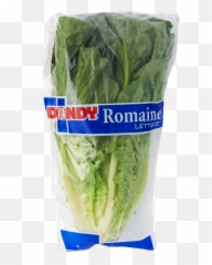 Romaine - Superfood Png,Romaine Lettuce Png