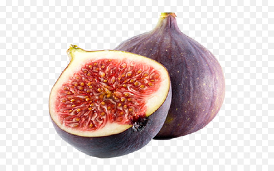 Download Hd Fig Clipart Dry Fruit - Anjeer Fruits Png,Fig Png