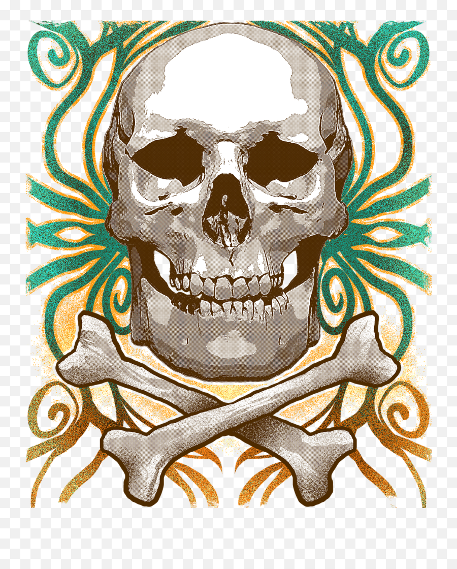 Skull Halloween Skeleton - Free Image On Pixabay Creepy Png,Spooky Skeleton Transparent