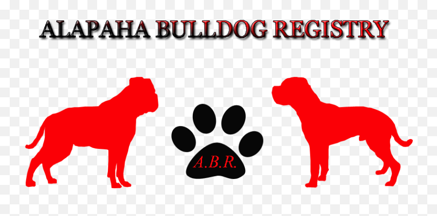 Alapaha Bulldog Registry Breeders - Hund Silhouette Png,British Icon Bulldogs