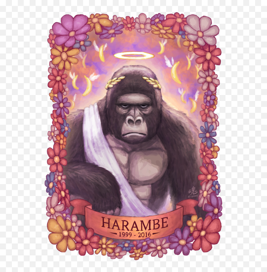 Горилла мем. Горилла Харамбе. Rip Harambe. Харамбе Мем.