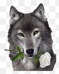 Wolf Rose Sticker - Flower Discover u0026 Share GIFs With White png