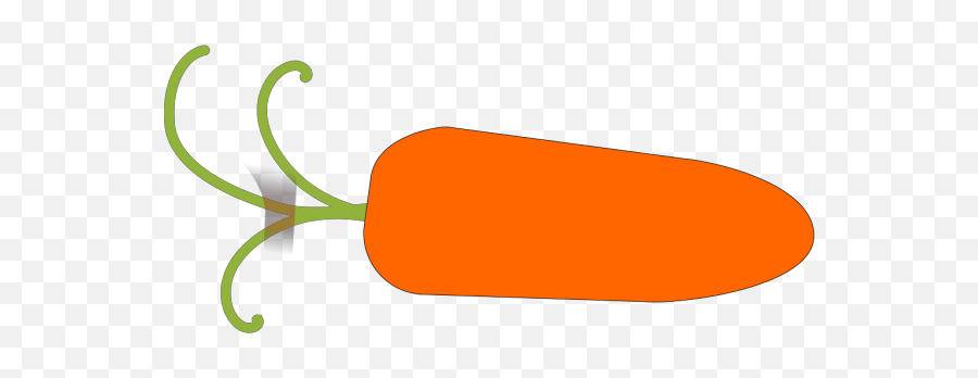 Carrot Png Svg Clip Art For Web - Download Clip Art Png Orange Object Png,Carrot Icon
