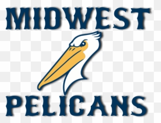 Midwest Pelicans Baseball Where Good Players Become Great - Graphic Design Png,Pelicans Logo Png