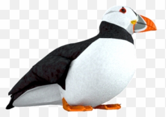 Bird Thinking Sticker - Bird Thinking Proud Discover Dancing Sticker Dancing Puffin Gif Png,Puffin Icon