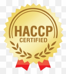 Hccp Certification Logo Download - icon png svg Soul Square
