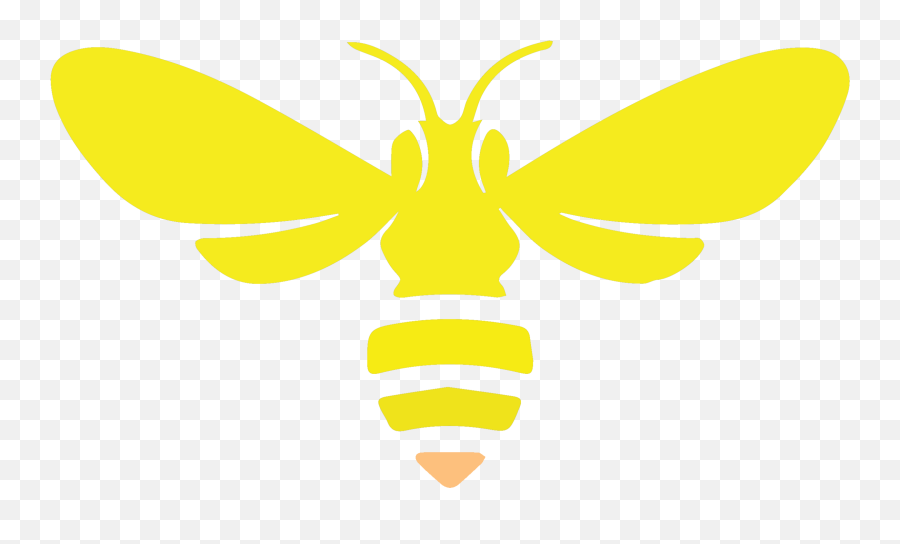 12 Bees Creative - Butterfly Png,Honey Bee Icon