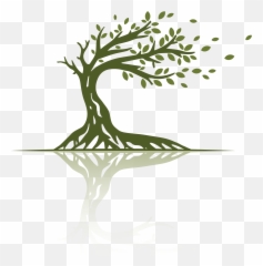 Home - Lifeu0027s Seasons Care U0026 Support Inc Png,Tree Of Life Icon