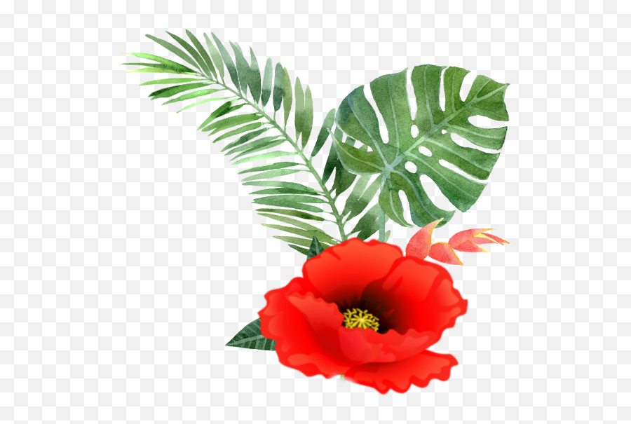 Which Is Your Spirit Flower U2014 King Community - Tropical Plant Illustration Png,Candy Crush Icon Meanings