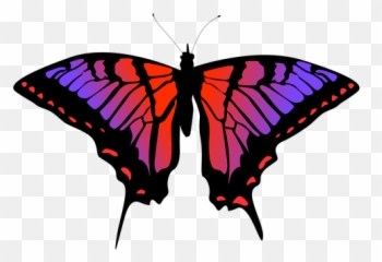Butterfly Insect Vector Transparent Png U0026 Svg - Imagenes De Una Mariposa Png,Butterfly Icon Vector