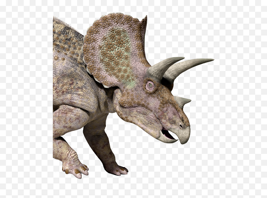 Royal Gorge Dinosaur Experience - 3d Rendering Triceratops 3d Png,Triceratops Icon