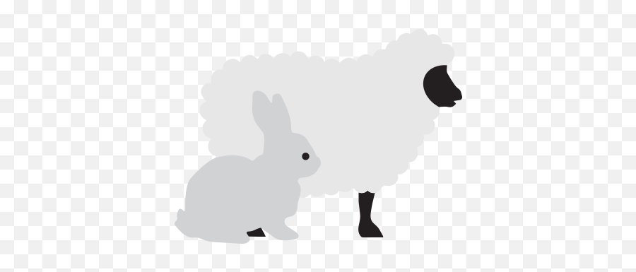 Take Action U2014 True Vineyard Ministries - Domestic Rabbit Png,White Rabbit Png