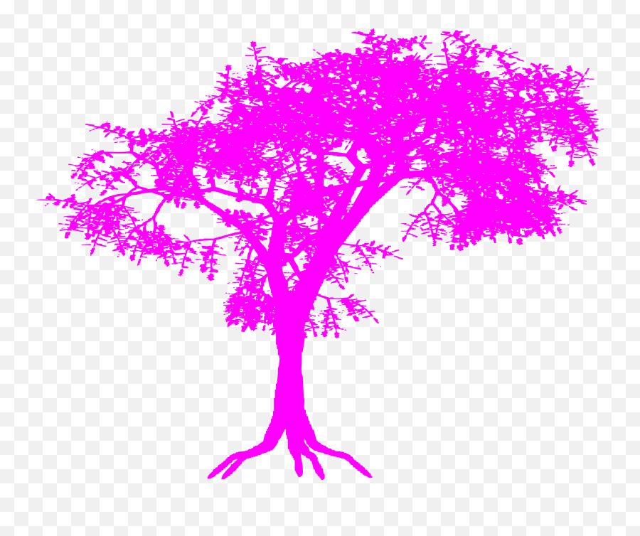 The Hidden Buffalo Thorn Tree In Photoshop - Spudart Png,Icon Amazon Tree