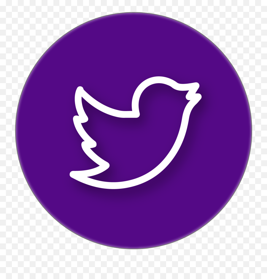 Professor Maurizio Porfiri U2013 Dynamical Systems Laboratory Png Purple Twitter Icon