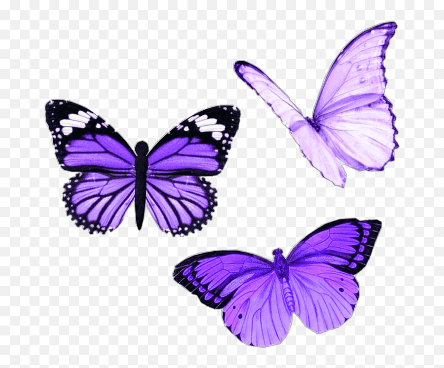 Png Purple Butterfly Aesthetic - Purple Butterfly Tattoo Designs,Purple Butterfly Png