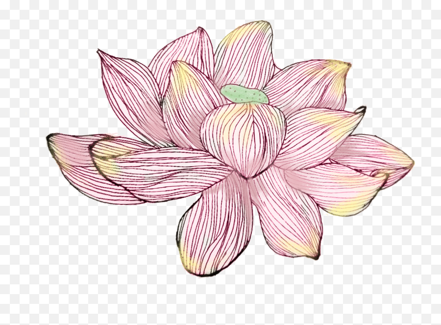 Download Hand Painted Writing Poetry Watercolor Lotus Png - Watercolor Painting,Lotus Png