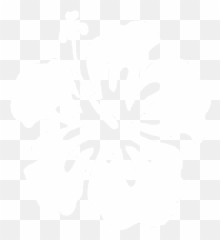 Hawaiian - Flower Remarkable Honeymoons Hawaiian Flower Stencil Png,Hawaiian Flower Png