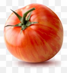 Our Tomatoes - The Tomato Stall Plum png