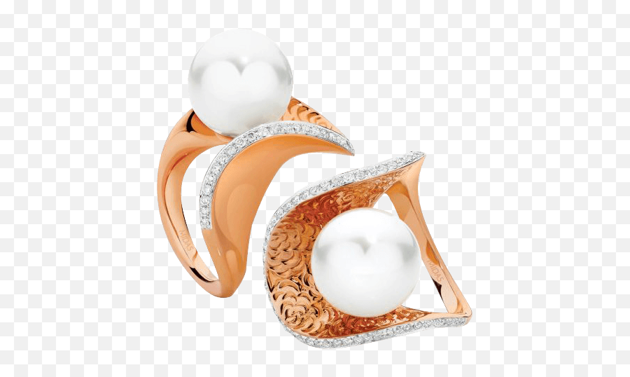 Perfect Pearls Midas Jewellery - Earrings Png,Pearls Png