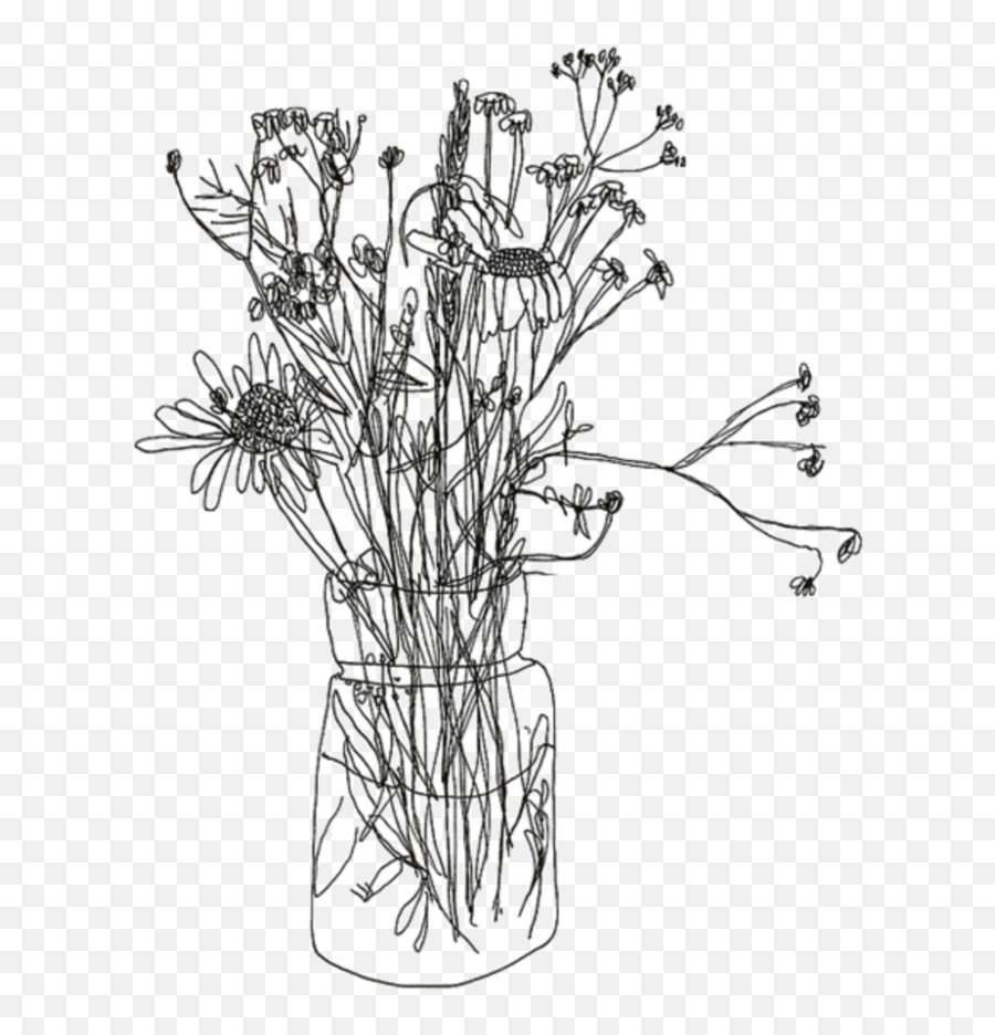 Free Flower Drawing Transparent Background Download - Aesthetic Flower Drawing Png,Flower Drawing Png