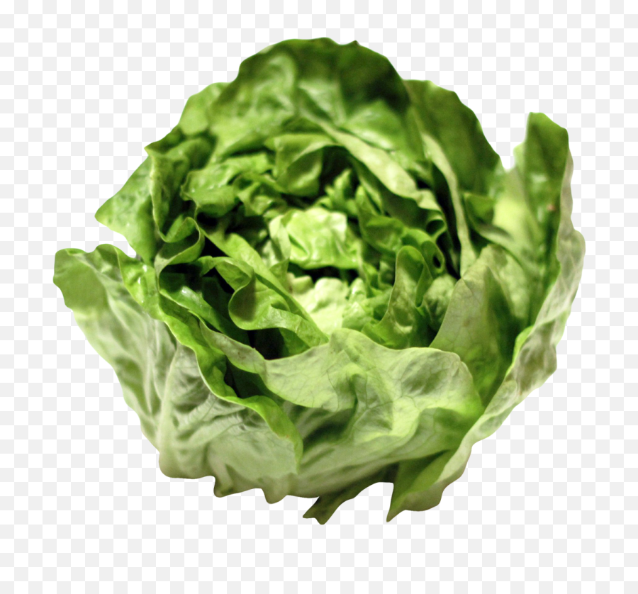 Lettuce Png Image - Png Lettuce,Romaine Lettuce Png