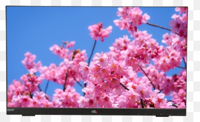 Ctl Ip2154t Touch Screen Monitor Png