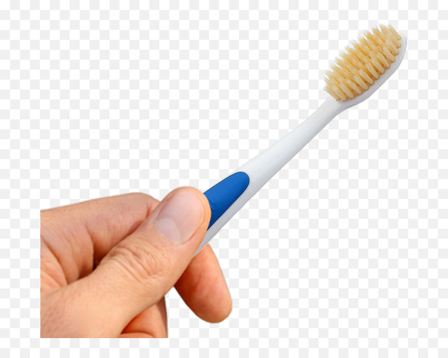 Mouthwatchers Australia Eliminates 999 Of Bacteria After - Toothbrush Png,Toothbrush Transparent Background