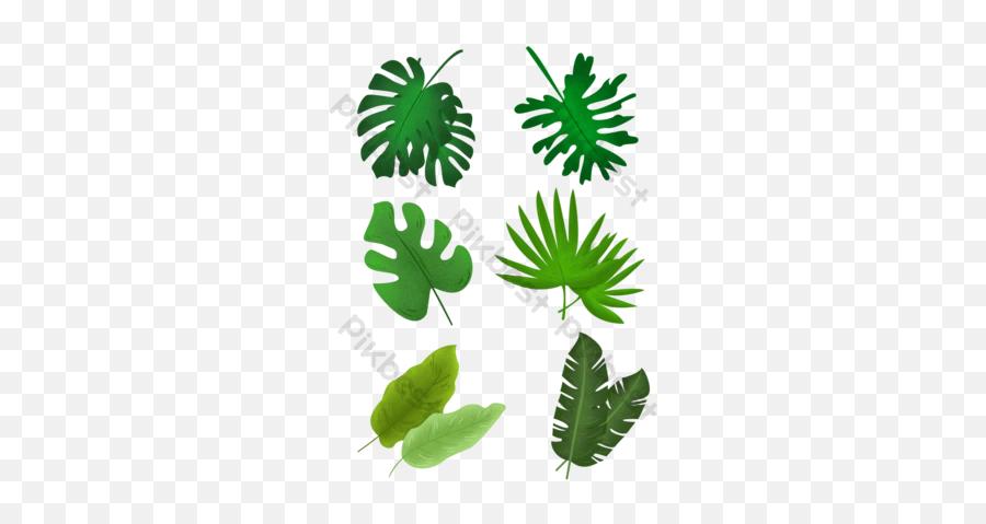 Collection Of Tropical Leaves Bundle Vector Graphic Element - Decorative Png,Tropical Leaves Png